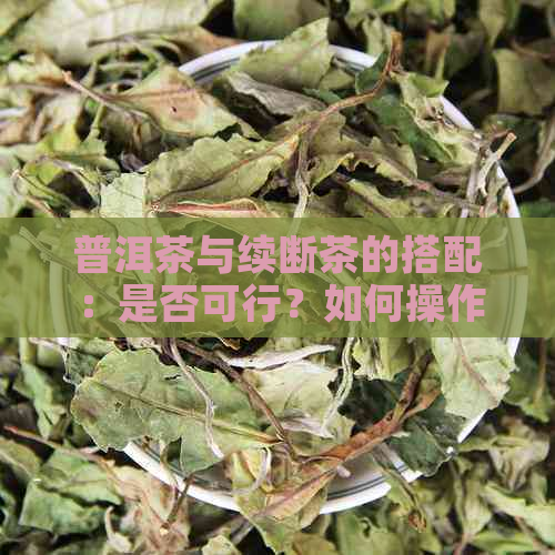 普洱茶与续断茶的搭配：是否可行？如何操作以达到效果？