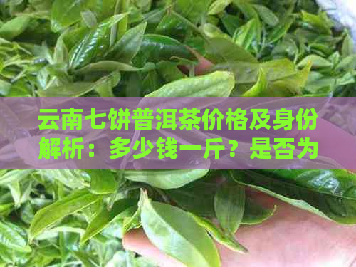 云南七饼普洱茶价格及身份解析：多少钱一斤？是否为普洱茶？