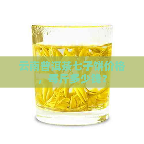 云南普洱茶七子饼价格，每斤多少钱？