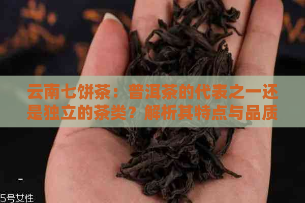 云南七饼茶：普洱茶的代表之一还是独立的茶类？解析其特点与品质