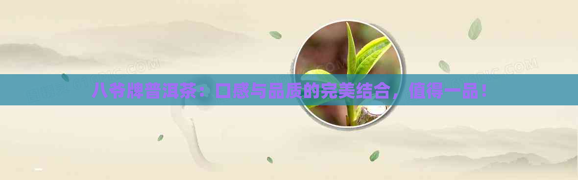 八爷牌普洱茶：口感与品质的完美结合，值得一品！