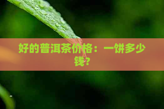 好的普洱茶价格：一饼多少钱？