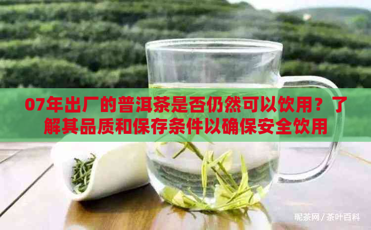 07年出厂的普洱茶是否仍然可以饮用？了解其品质和保存条件以确保安全饮用