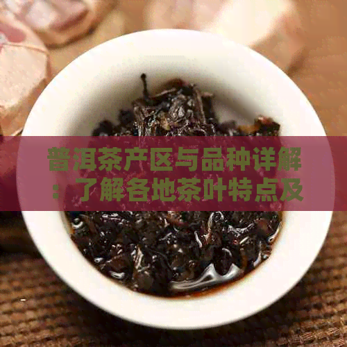 普洱茶产区与品种详解：了解各地茶叶特点及品质