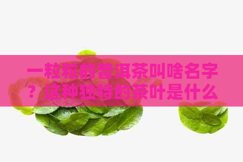 一粒粒的普洱茶叫啥名字？这种独特的茶叶是什么茶？