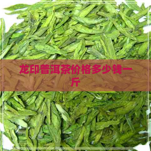 龙印普洱茶价格多少钱一斤