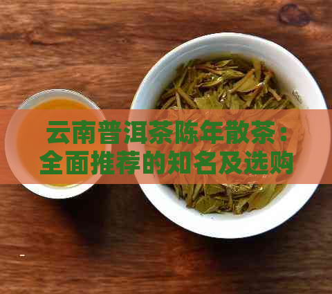 云南普洱茶陈年散茶：全面推荐的知名及选购指南，让你轻松找到理想之茶