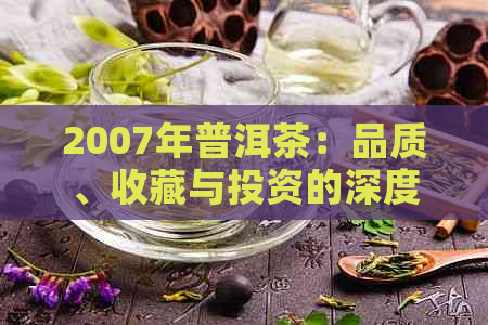 2007年普洱茶：品质、收藏与投资的深度解析