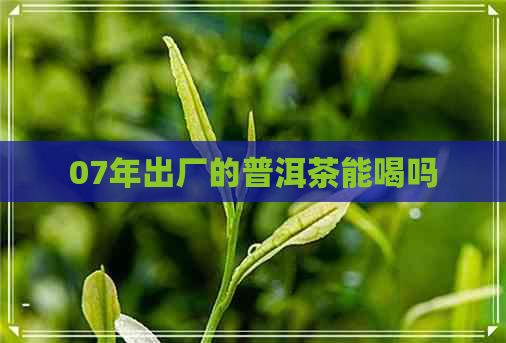 07年出厂的普洱茶能喝吗