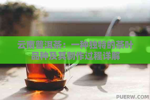 云南普洱茶：一种独特的茶叶品种及其制作过程详解