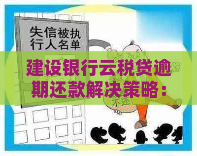 建设银行云税贷逾期还款解决策略：你可能需要知道的一切