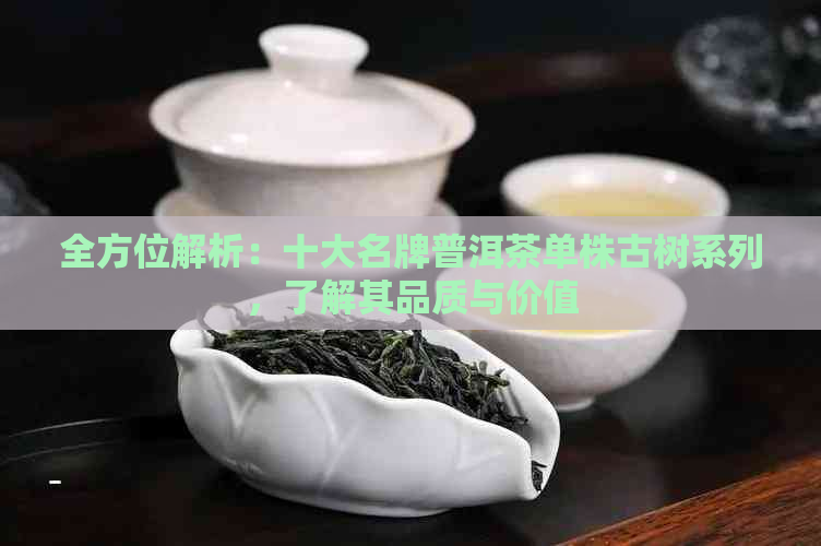 全方位解析：十大名牌普洱茶单株古树系列，了解其品质与价值