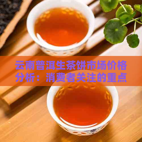 云南普洱生茶饼市场价格分析：消费者关注的重点与实际价值