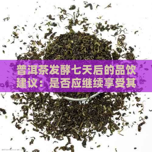 普洱茶发酵七天后的品饮建议：是否应继续享受其风味？