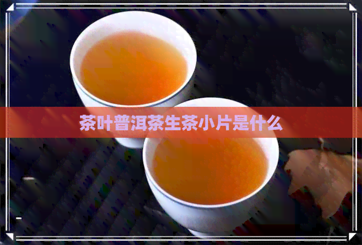 茶叶普洱茶生茶小片是什么