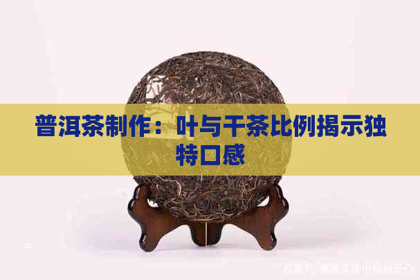 普洱茶制作：叶与干茶比例揭示独特口感