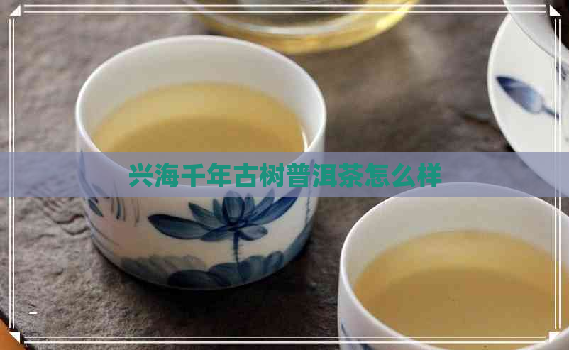 兴海千年古树普洱茶怎么样