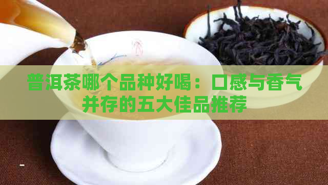 普洱茶哪个品种好喝：口感与香气并存的五大佳品推荐