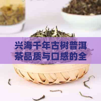 兴海千年古树普洱茶品质与口感的全方位解析：好不好喝？怎么品鉴？