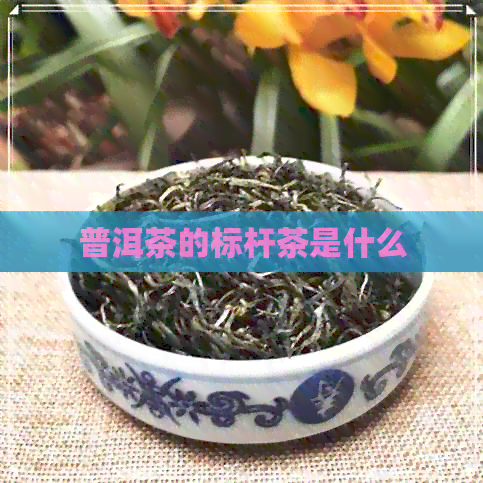 普洱茶的标杆茶是什么