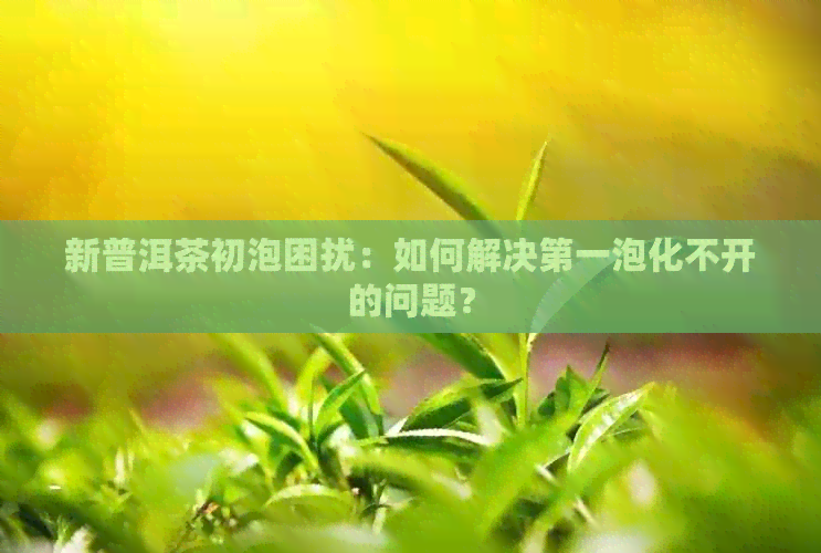 新普洱茶初泡困扰：如何解决之一泡化不开的问题？