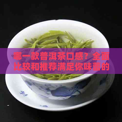 哪一款普洱茶口感？全面比较和推荐满足你味蕾的普洱茶与类型