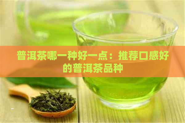 普洱茶哪一种好一点：推荐口感好的普洱茶品种