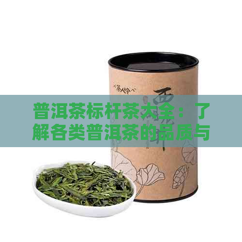 普洱茶标杆茶大全：了解各类普洱茶的品质与特点，挑选适合自己的好茶