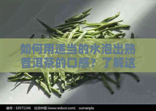 如何用适当的水泡出熟普洱茶的口感？了解这些关键指南！