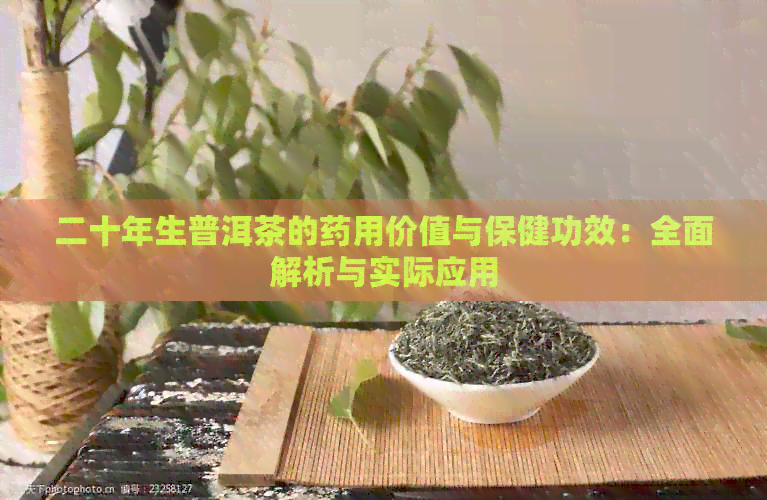 二十年生普洱茶的药用价值与保健功效：全面解析与实际应用