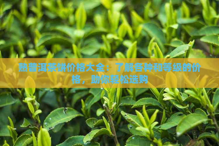 熟普洱茶饼价格大全：了解各种和等级的价格，助你轻松选购