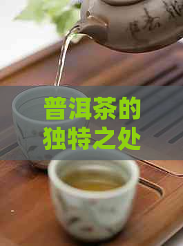 普洱茶的独特之处：深入剖析其更大特点与影响