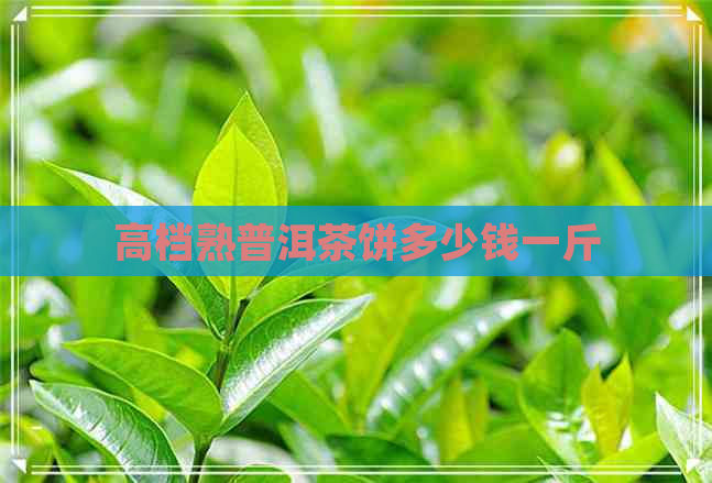 高档熟普洱茶饼多少钱一斤