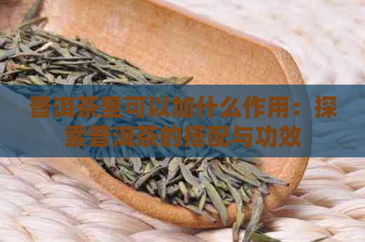 普洱茶里可以加什么作用：探索普洱茶的搭配与功效