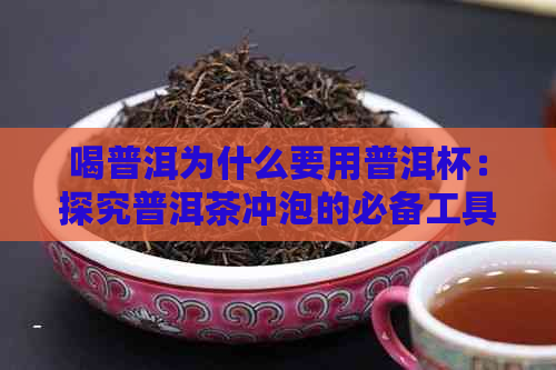 喝普洱为什么要用普洱杯：探究普洱茶冲泡的必备工具与原理