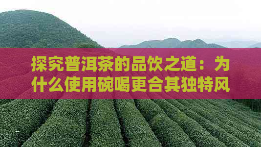 探究普洱茶的品饮之道：为什么使用碗喝更合其独特风味与口感？