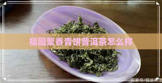 福园聚香青饼普洱茶怎么样