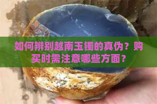 如何辨别越南玉镯的真伪？购买时需注意哪些方面？