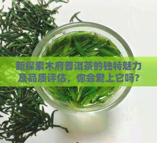 新探索木府普洱茶的独特魅力及品质评估，你会爱上它吗？