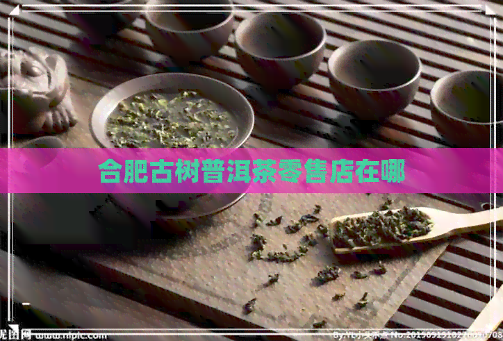 合肥古树普洱茶零售店在哪