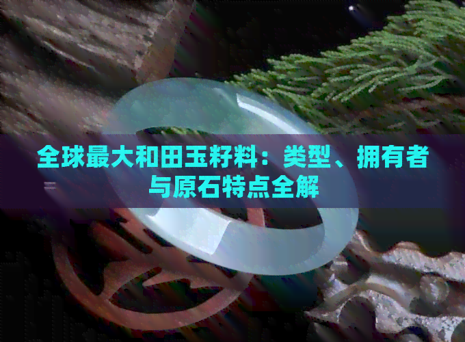 全球更大和田玉籽料：类型、拥有者与原石特点全解