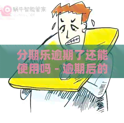 逾期了还能使用吗 - 逾期后的借款与还款问题