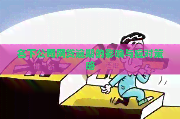 名下公司网贷逾期的影响与应对策略