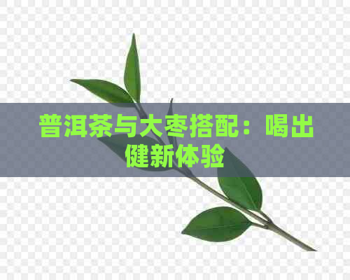 普洱茶与大枣搭配：喝出健新体验