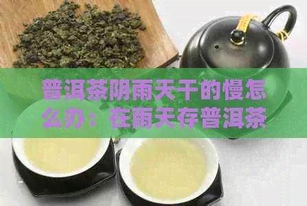 普洱茶阴雨天干的慢怎么办：在雨天存普洱茶的方法