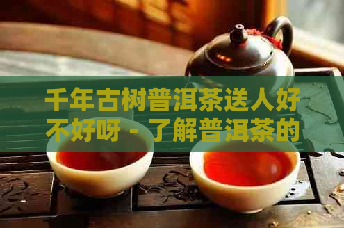 千年古树普洱茶送人好不好呀 - 了解普洱茶的千年古树特色