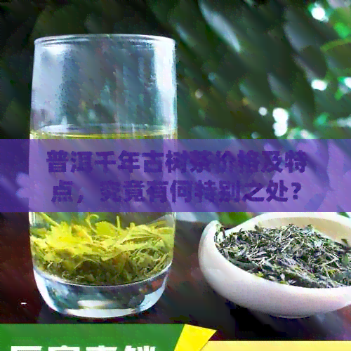 普洱千年古树茶价格及特点，究竟有何特别之处？