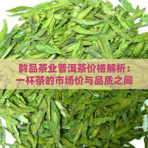 韵品茶业普洱茶价格解析：一杯茶的市场价与品质之间的关系