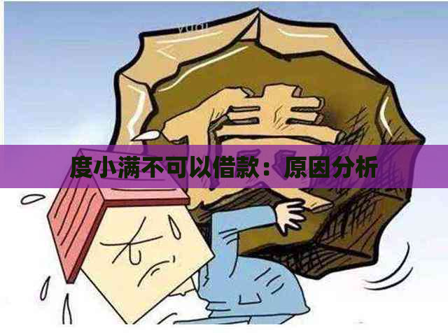 度小满不可以借款：原因分析