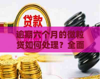 逾期六个月的微粒贷如何处理？全面解决方案和建议